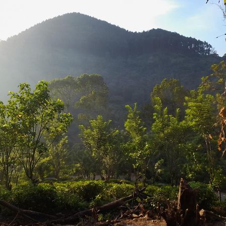 Ceylon Rich Leaves Ella Bed & Breakfast ภายนอก รูปภาพ