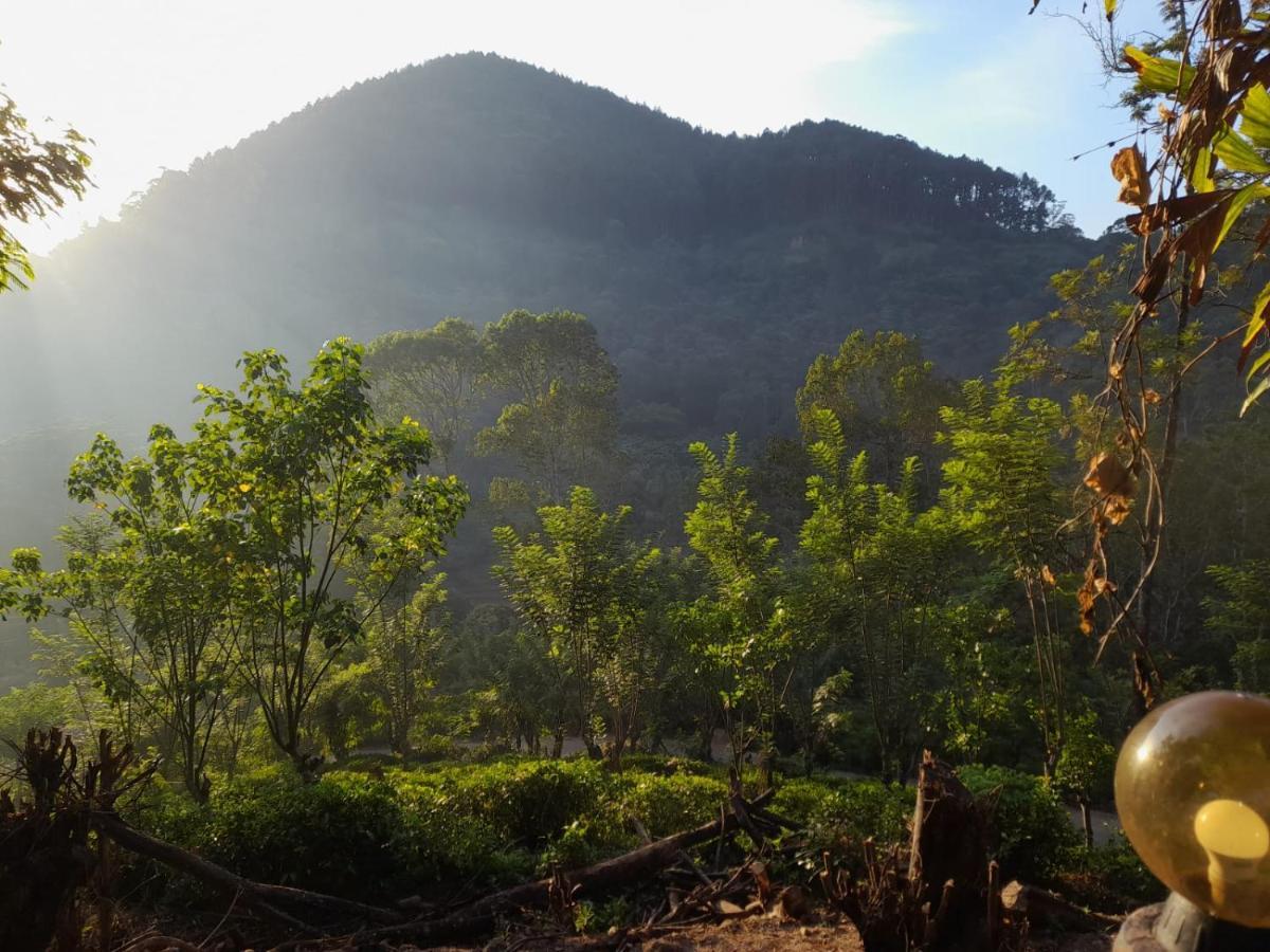 Ceylon Rich Leaves Ella Bed & Breakfast ภายนอก รูปภาพ
