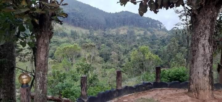 Ceylon Rich Leaves Ella Bed & Breakfast ภายนอก รูปภาพ
